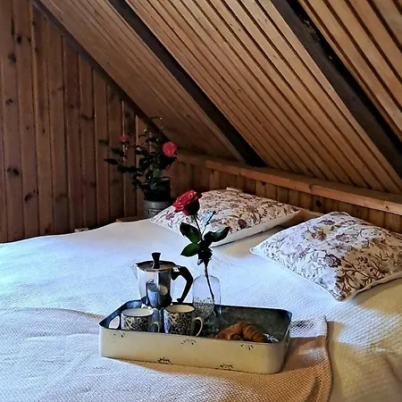 Lichtenberg/ Svetlik *
