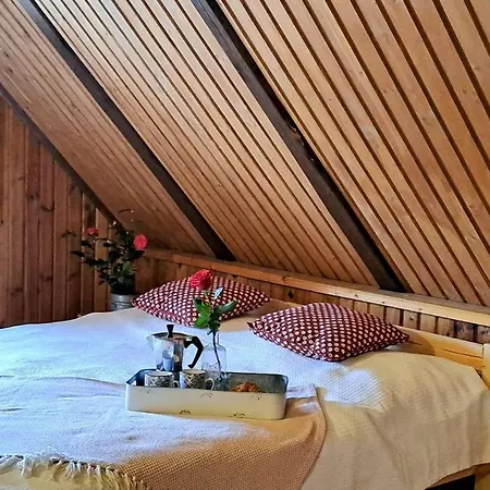 Lichtenberg/ Světlík